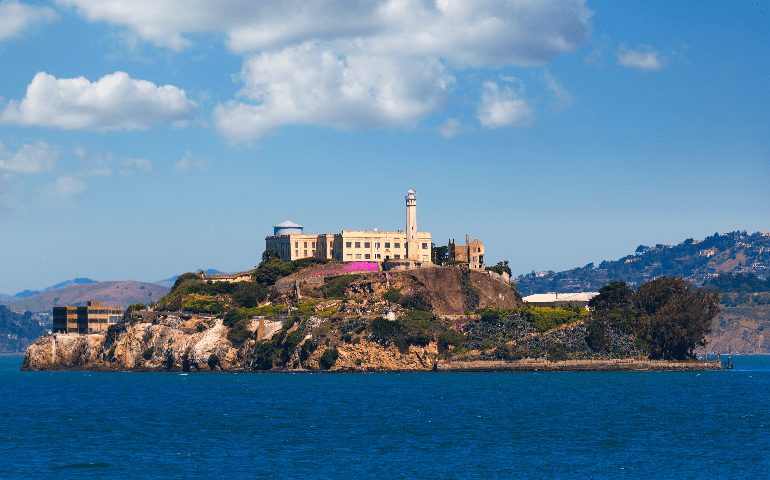 Alcatraz'da Berrak Gökyüzü ve Mor Çiçekler 