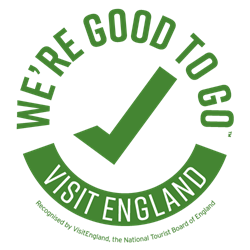 We're Good to Go logo