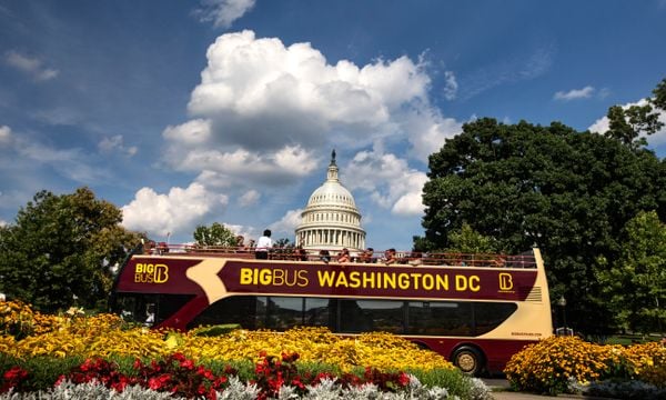 Washington DC: Big Bus - Deluxe Tour | City Experiences