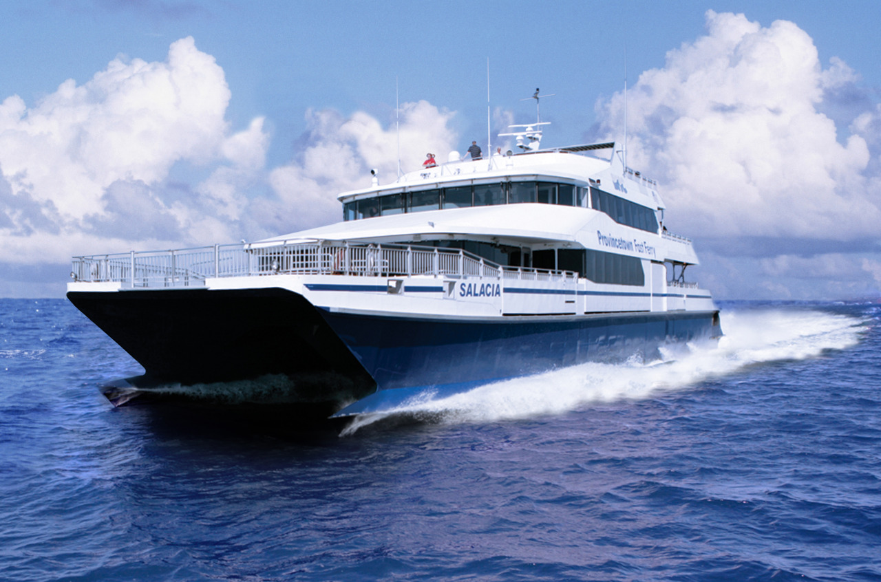 Whale Watching, Boat Tours, and Ferries | Boston Harbor Cruises | City