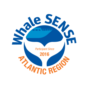 Whale Sense Logo