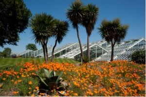 Kew Gardens Londra