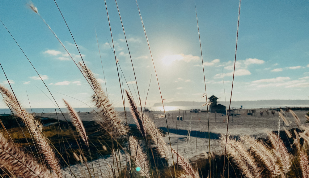 Coronado Eiland