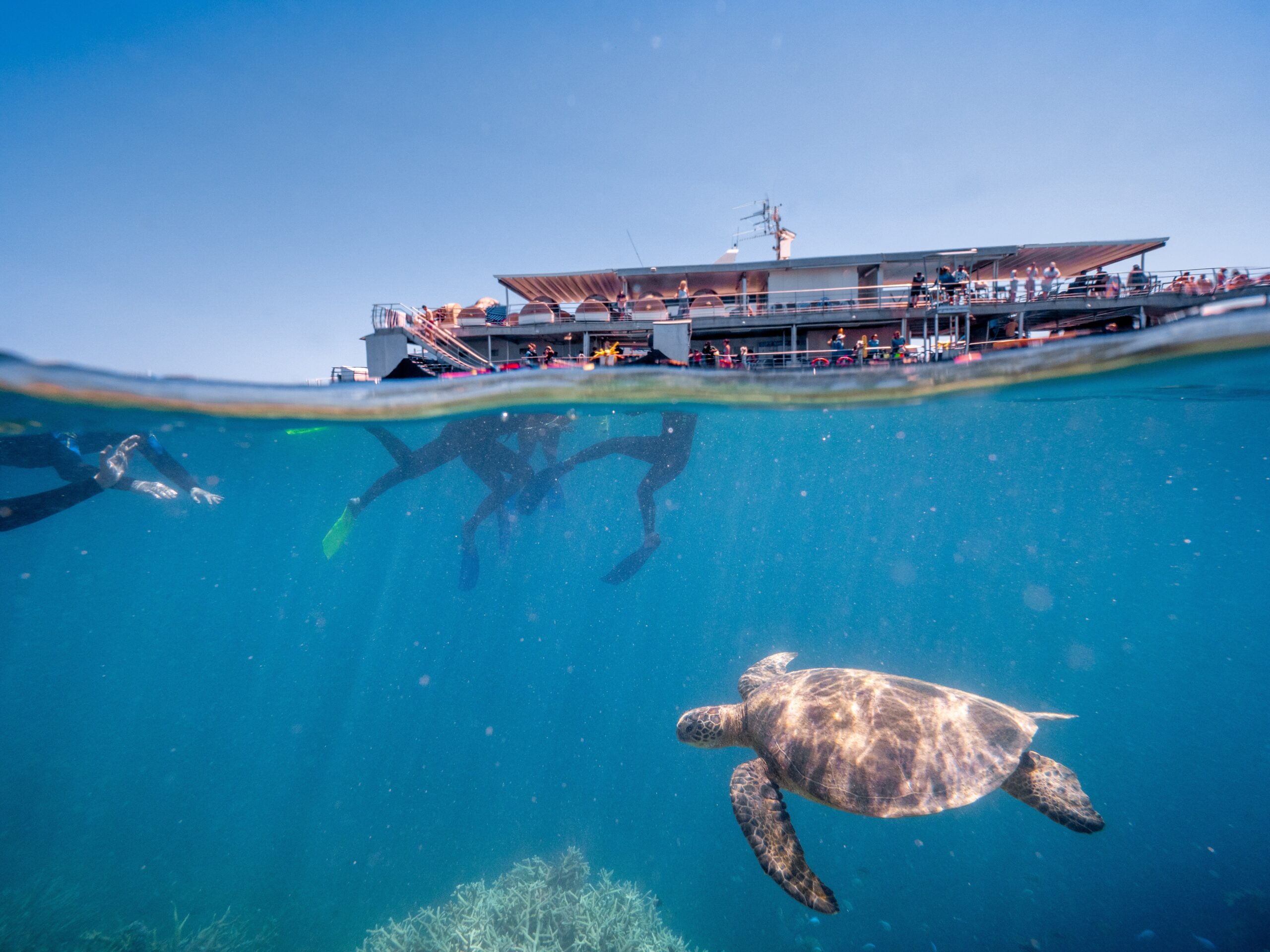 Erlebnisse am Great Barrier Reef