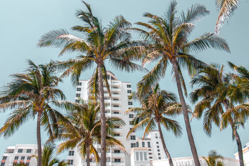 10-Best-Things-To-Do-In-Miami---HERO