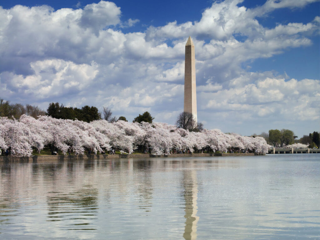 how to visit dc monuments
