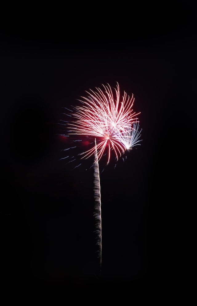 Fireworks in chicago sky