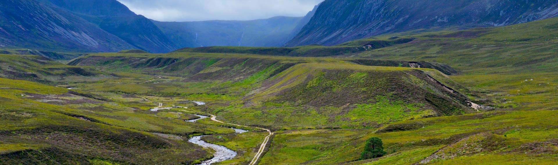 Parco nazionale dei Cairngorms Scozia