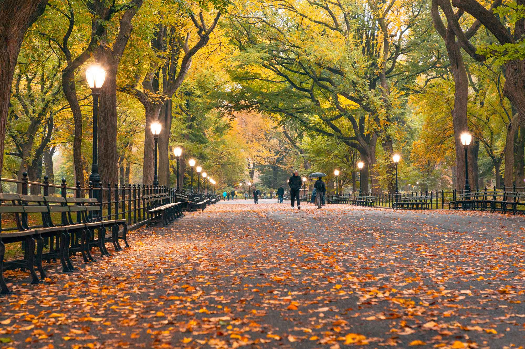 l'automne dans la ville de new york