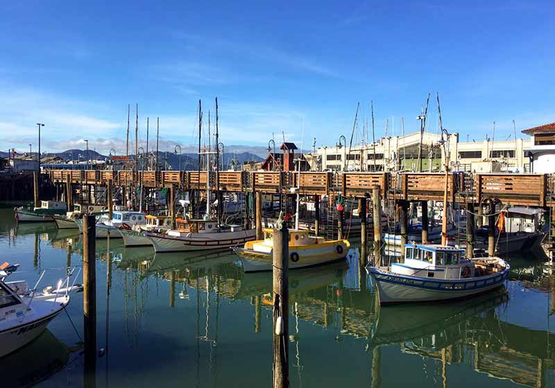 A Lot of Yachts Parking in Harbor at the Fisherman`s Wharf Pier 39