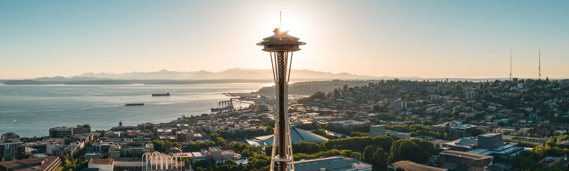 Linha do Horizonte de Seattle com Agulha Espacial