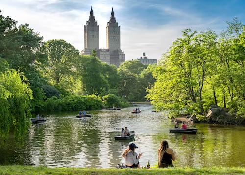 new york'ta kuş gözlemi̇