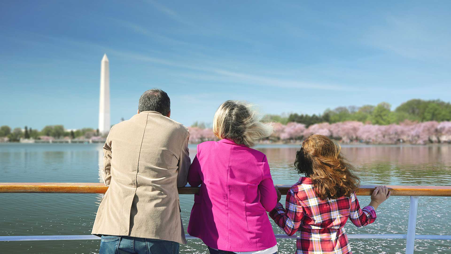 gente disfrutando de los cerezos en flor en dc