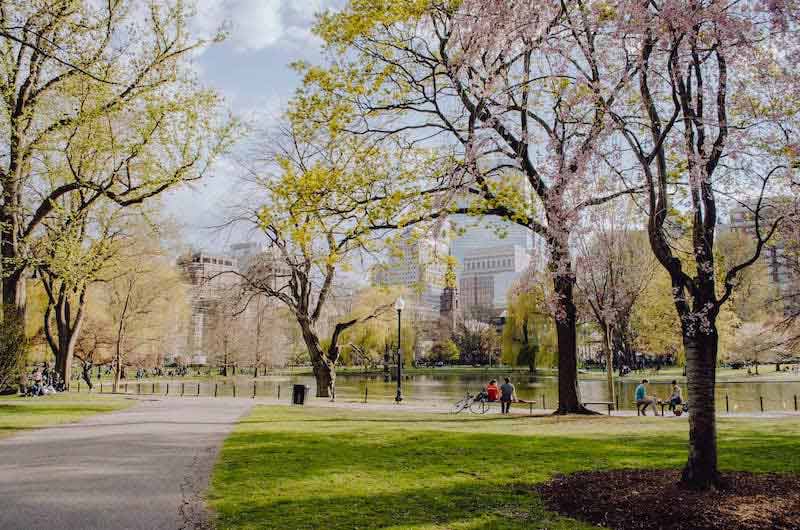春天的波士顿公园
