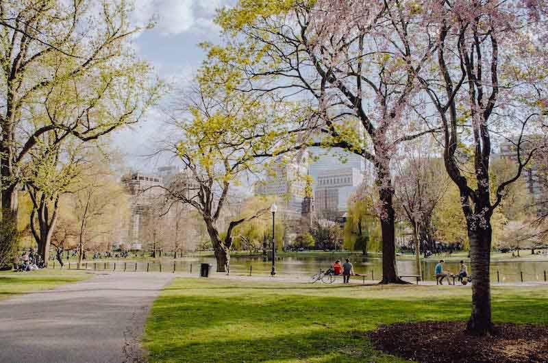 O Parque de Boston na Primavera