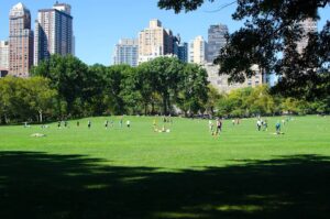 Central park New York city green space