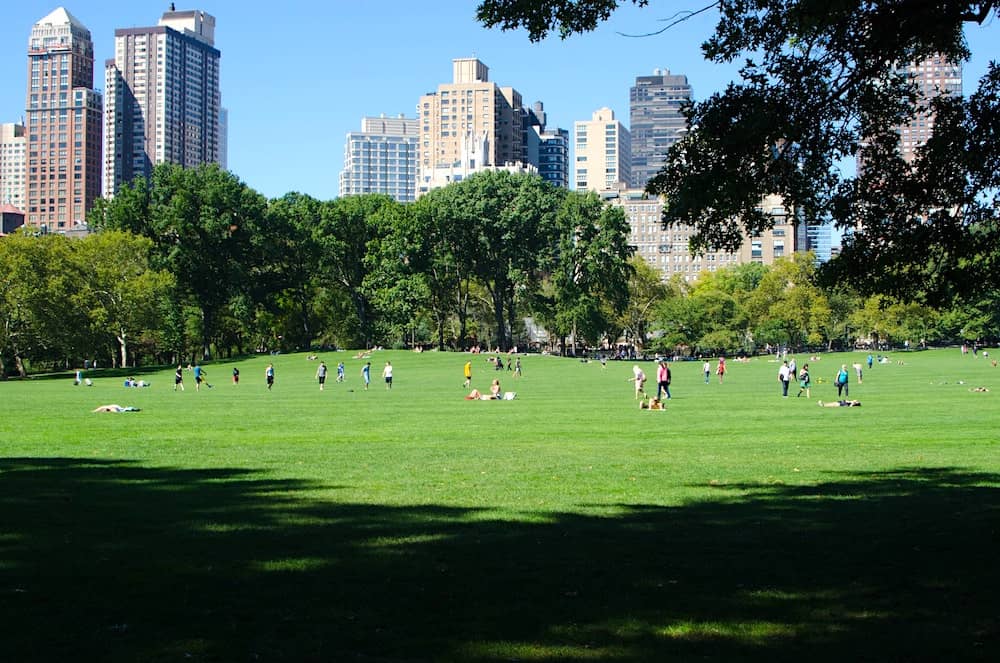 紐約市中央公園綠地