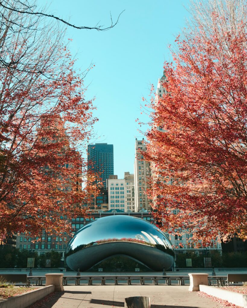 chicago bean