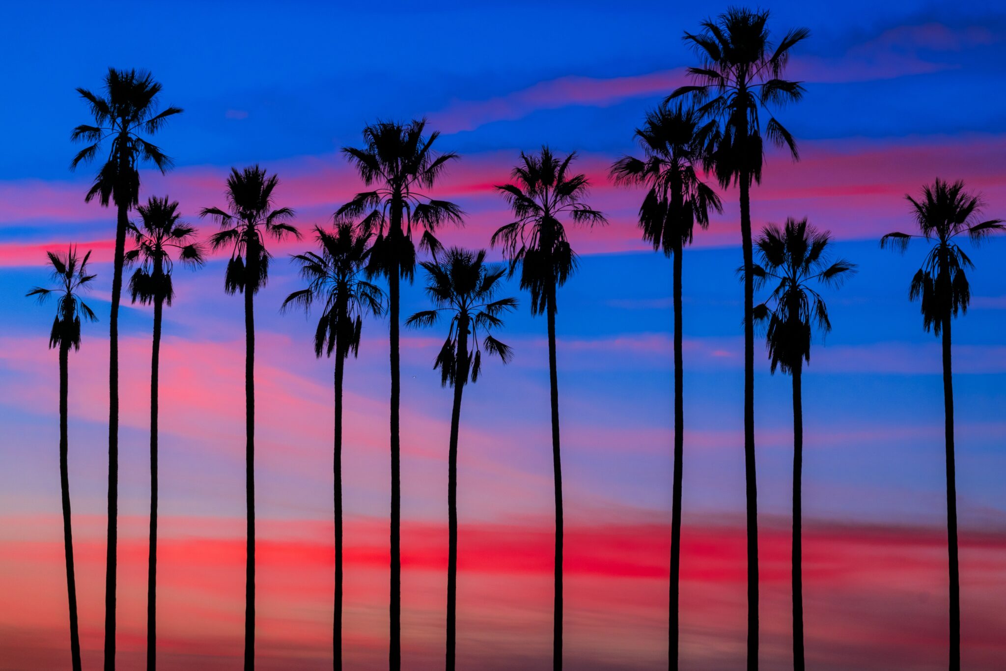 top-spots-to-watch-the-sunset-in-los-angeles-2024-city-experiences