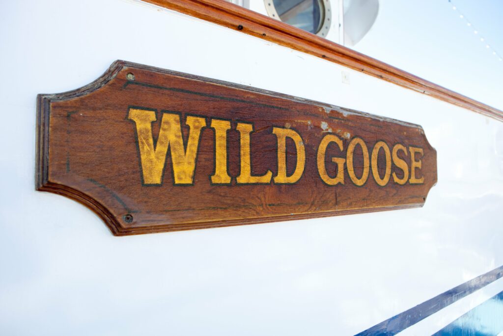 Cartel de Wild Goose