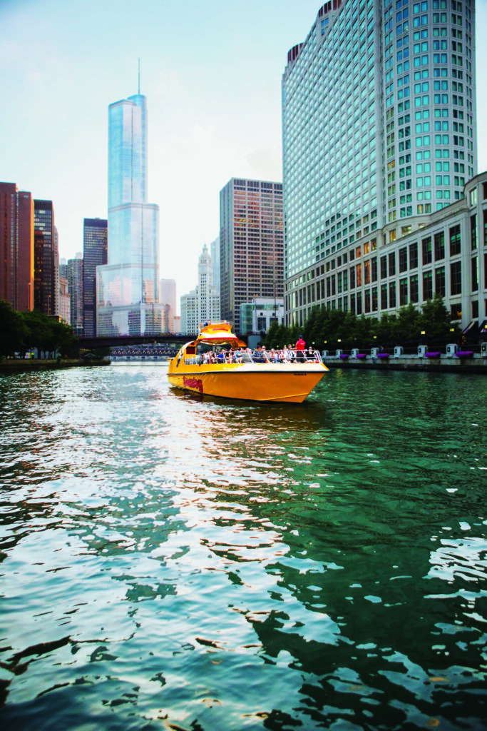 chien de mer sur la rivière chicago