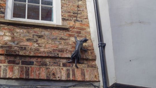 the cat trail scultpture climbing up a brick wall in york
