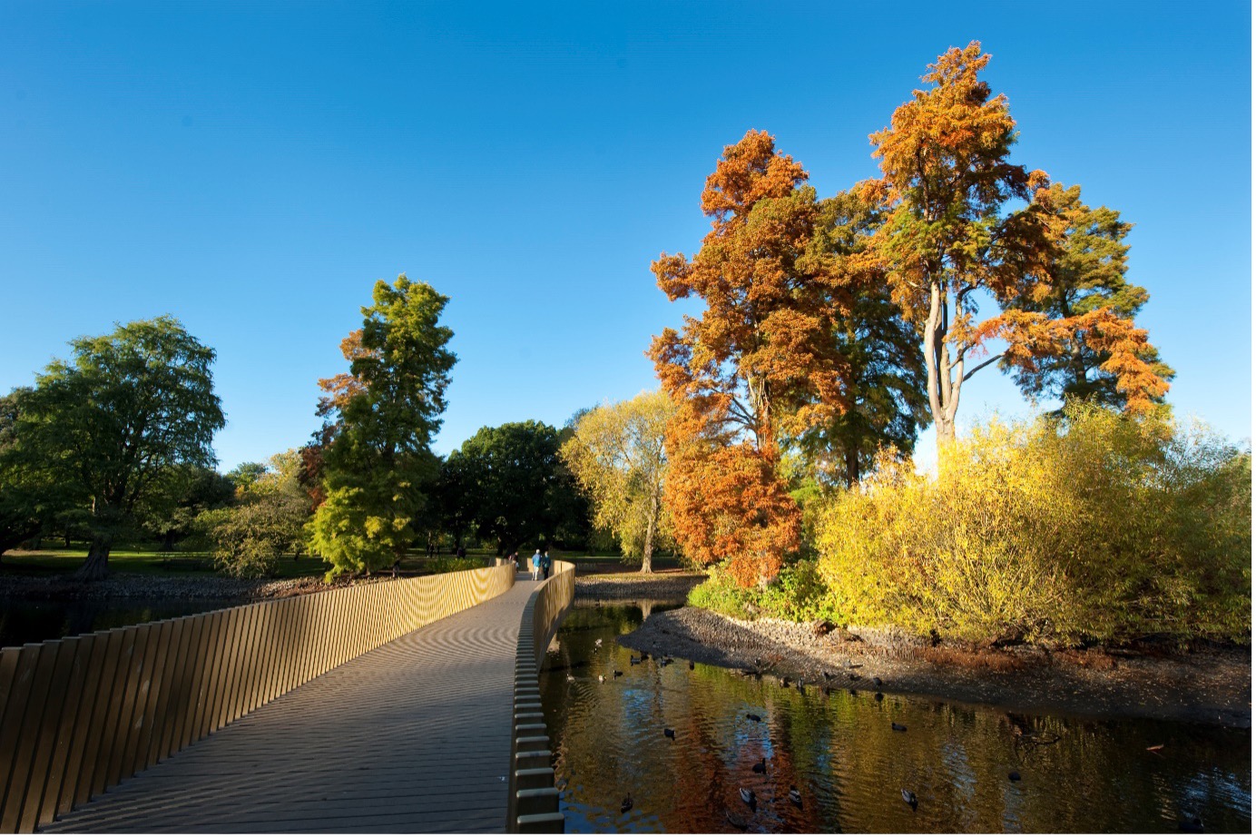 landscape of kew gardens