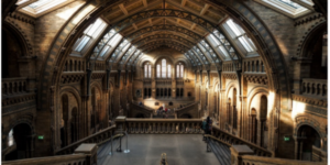 national history museum in london