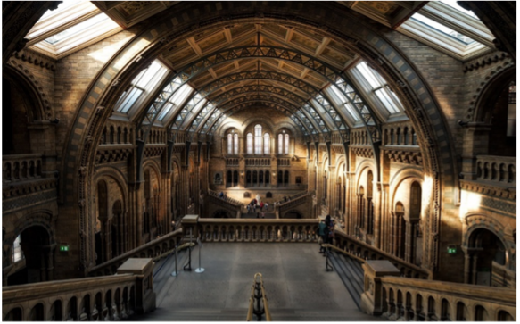 national history museum in london