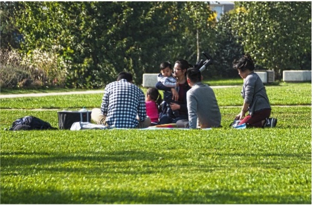 런던 왕립 공원에서 즐기는 가족 피크닉