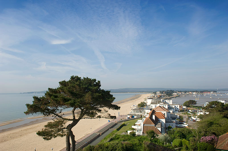 海岸道路ビーチ