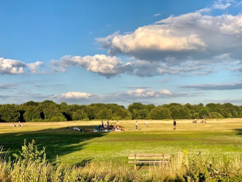 wimbleton common