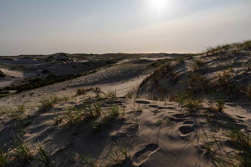 plages de sable de provincetown