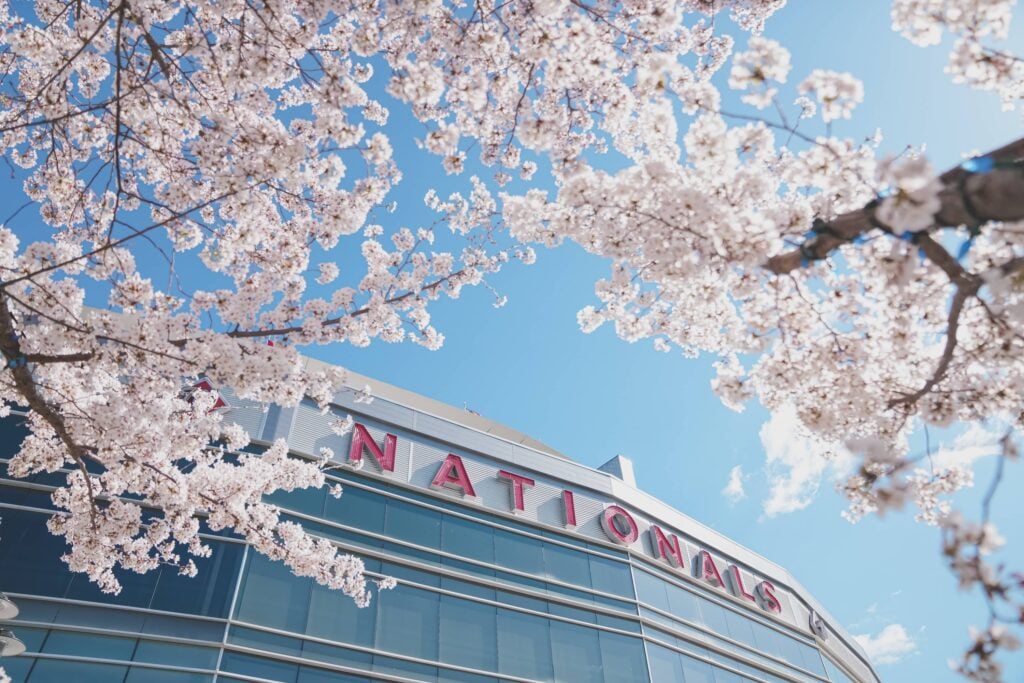 Nationals Park in Washington, DC with Cherry Blossoms