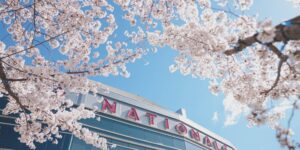 Nationals Park in Washington, DC with Cherry Blossoms